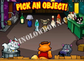 Alley Cats Feature