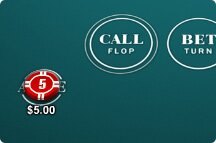 TXS Hold'em Pro 1