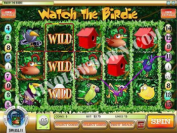 Watch the Birdie Wilds
